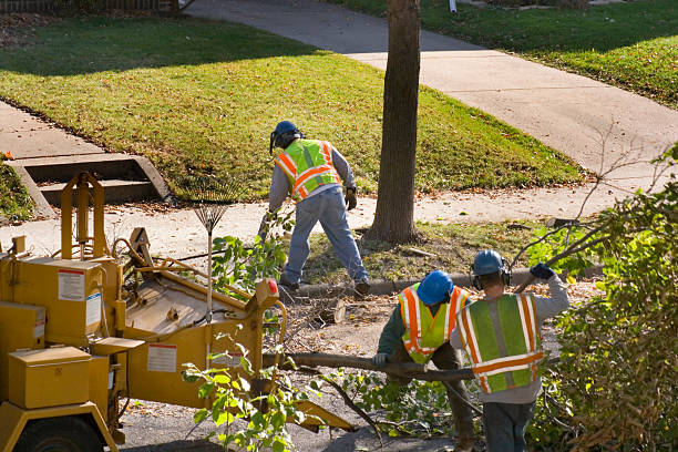 Best Commercial Tree Services  in USA